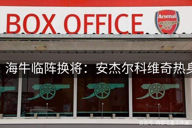 海牛临阵换将：安杰尔科维奇热身受伤 刘军帅紧急入替